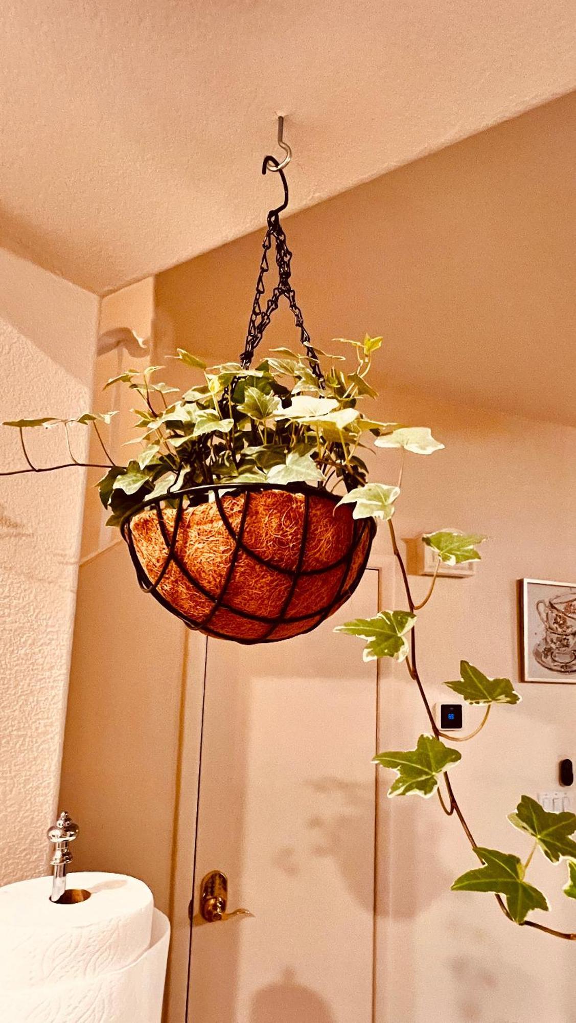 Fragrant Finnish Sauna & Cozy Pool With French 3Br Las Vegas Eksteriør billede